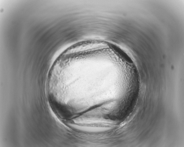 X0000087691295200705251659