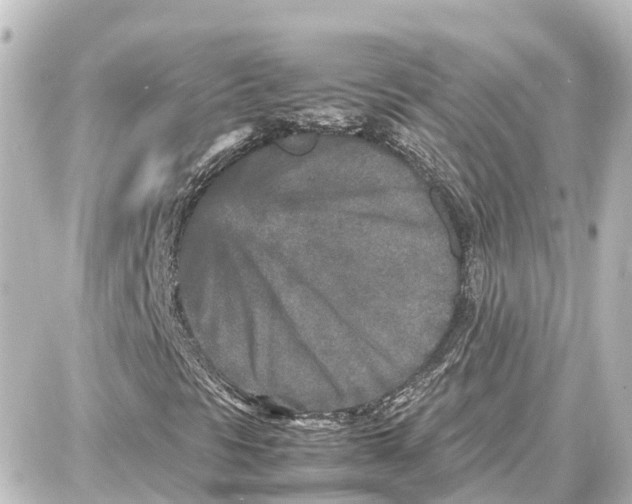 X0000087691297200705251658