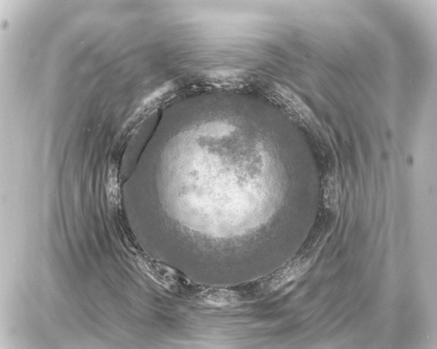 X0000087691298200705251658