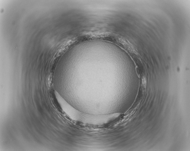 X0000087691300200705251658