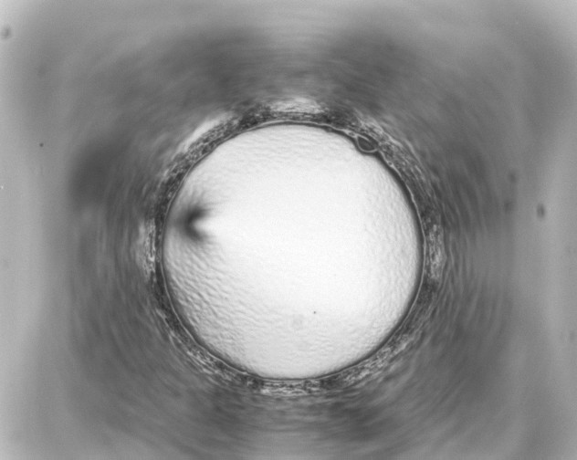 X0000087691301200705251658