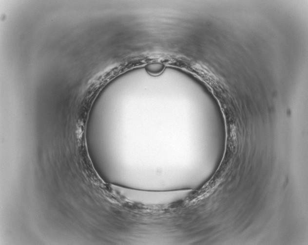 X0000087691302200705251658