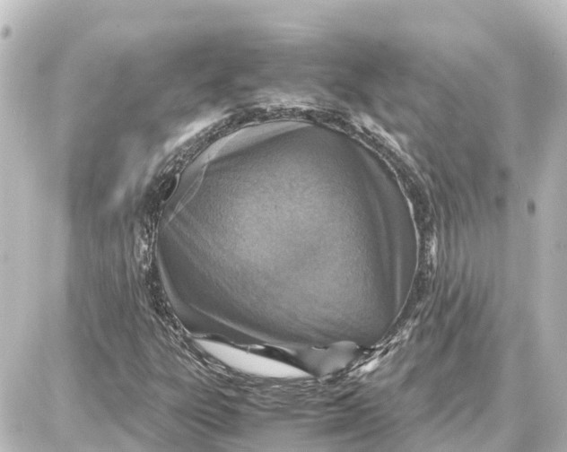 X0000087691303200705251658