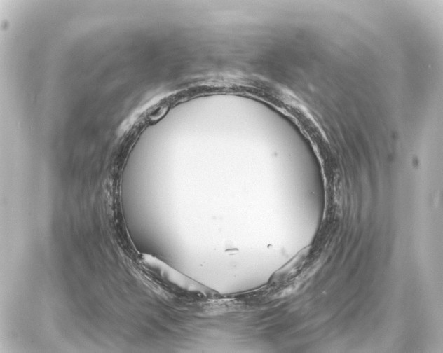 X0000087691304200705251658