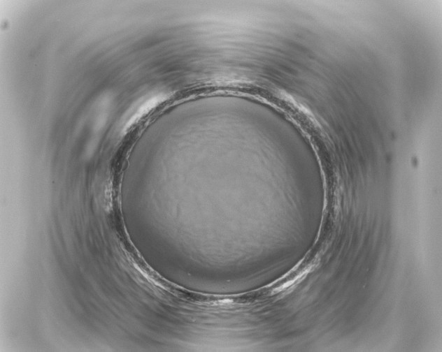 X0000087691306200705251658