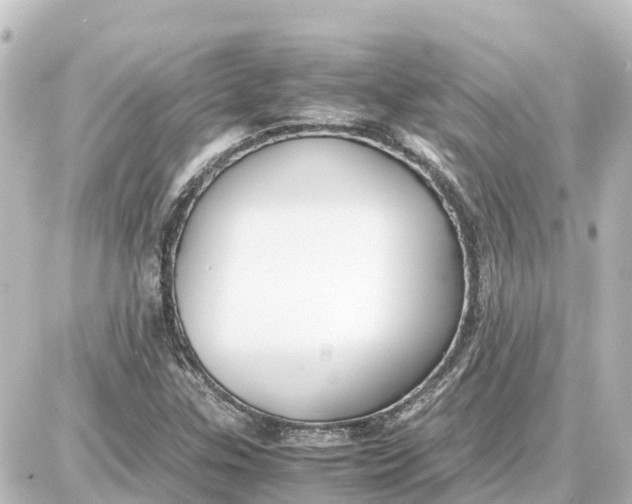 X0000087691307200705251658