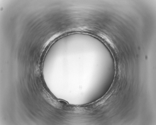 X0000087691308200705251659