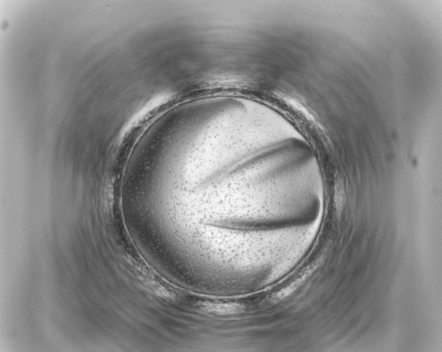 X0000087691309200705251659