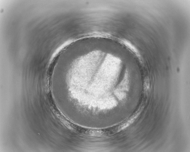 X0000087691310200705251659