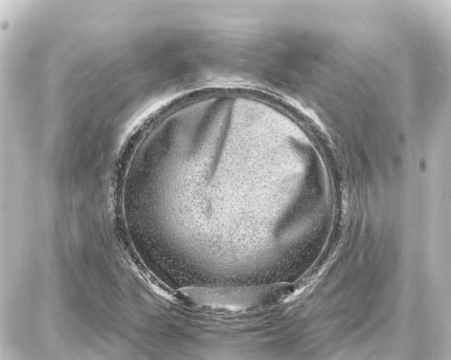 X0000087691311200705251659