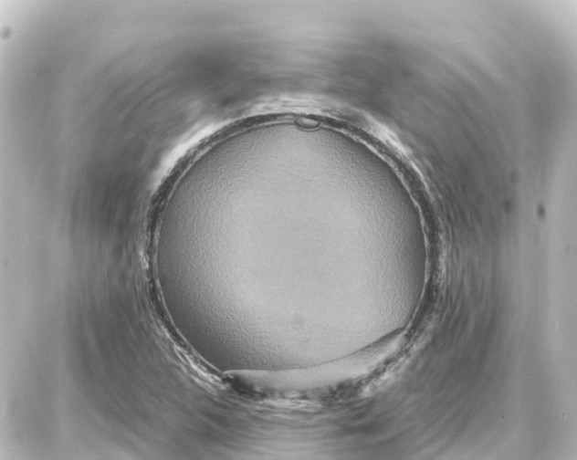 X0000087691312200705251659