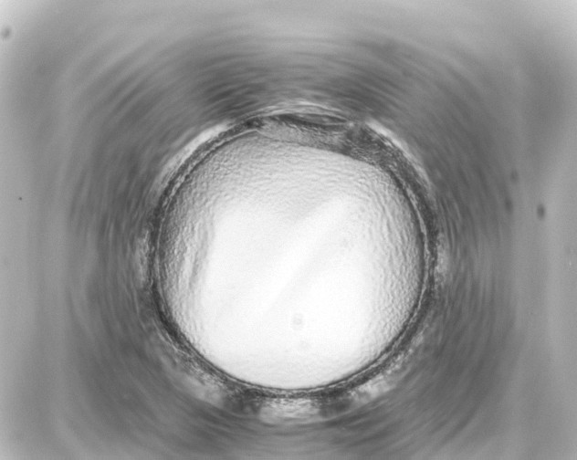 X0000087691313200705251659