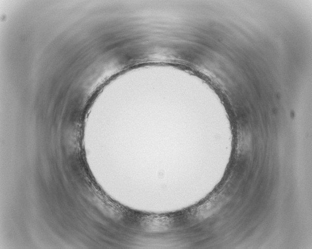 X0000087691314200705251659