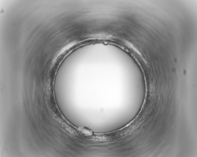 X0000087691315200705251659