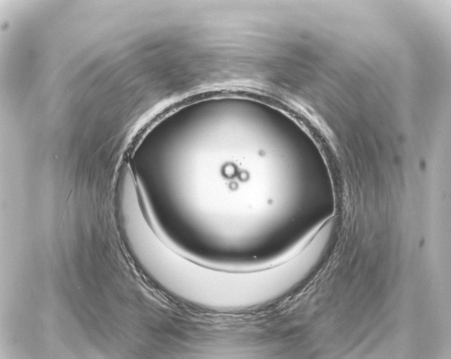 X0000087691316200705251659