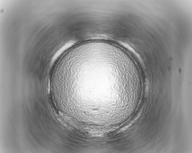 X0000087691317200705251659