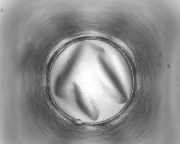 X0000087691318200705251659