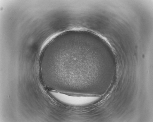 X0000087691319200705251659