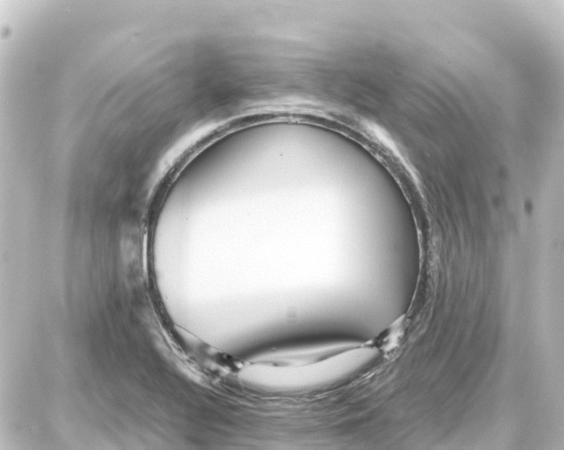 X0000087691320200705251659