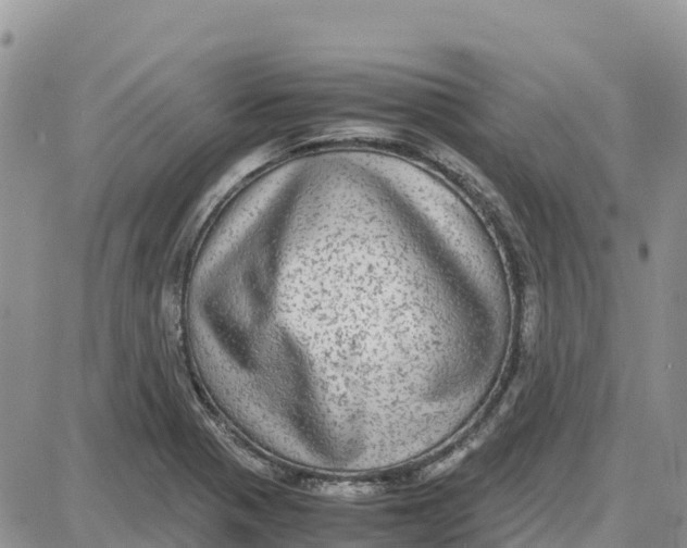 X0000087691321200705251659