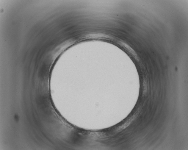 X0000087691322200705251659