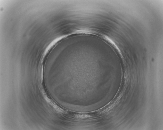 X0000087691323200705251659