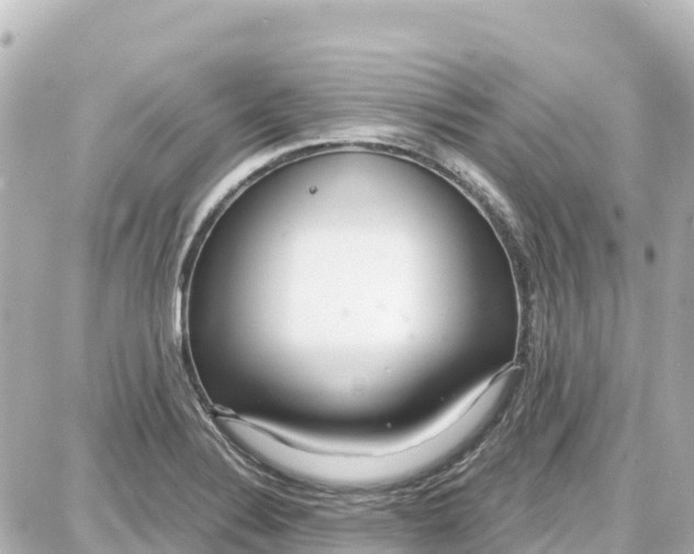 X0000087691324200705251659