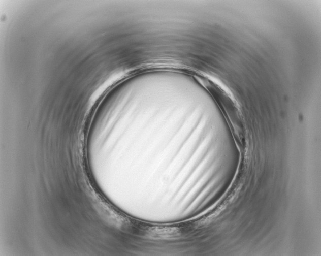 X0000087691325200705251659