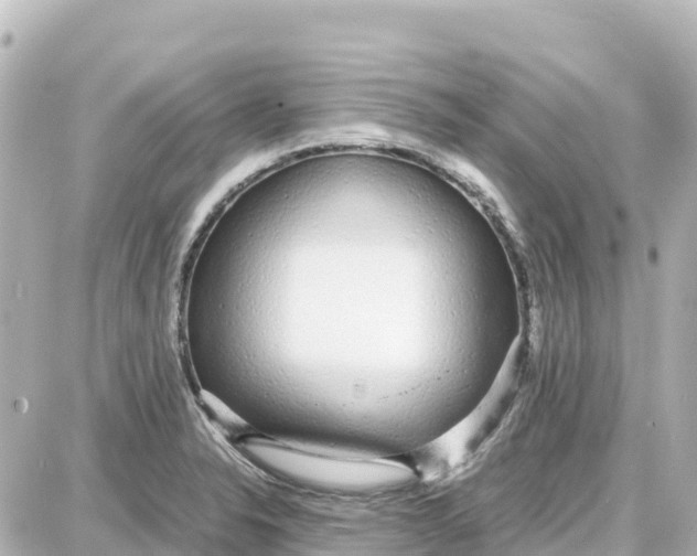 X0000087691326200705251659