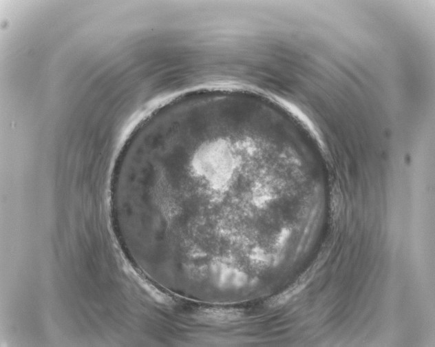 X0000087691327200705251659