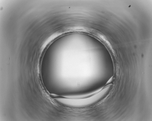 X0000087691328200705251659