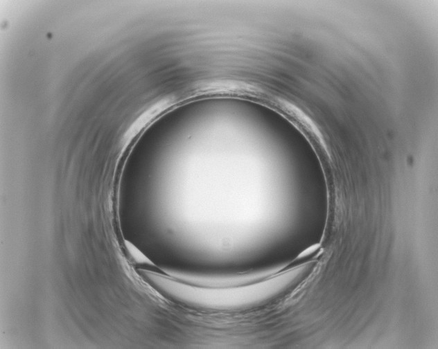 X0000087691330200705251659