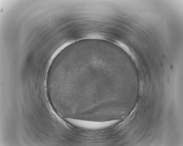 X0000087691331200705251659