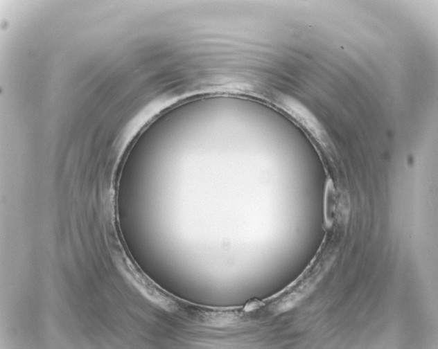 X0000087691332200705251659