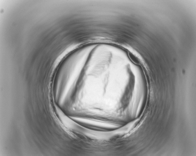 X0000087691333200705251659