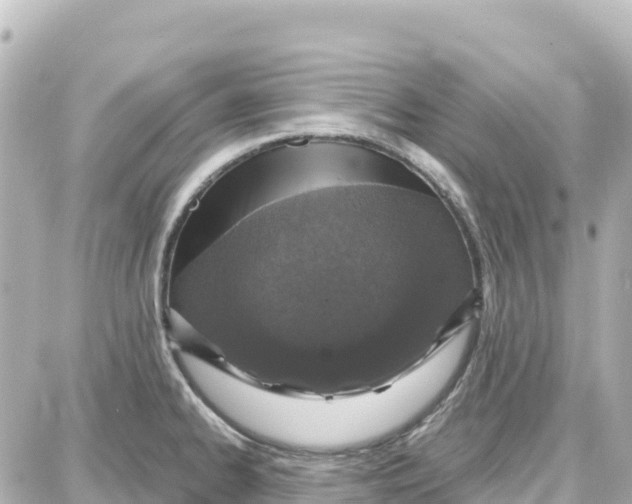 X0000087691334200705251659