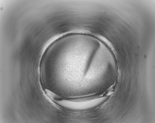 X0000087691335200705251659