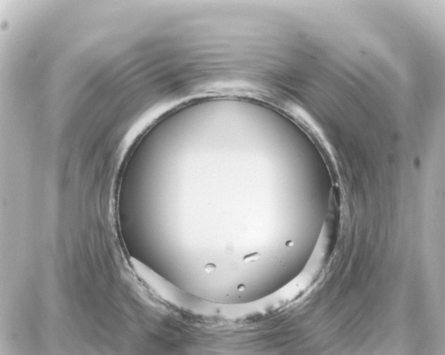 X0000087691336200705251659