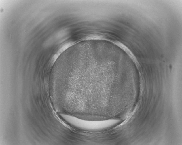 X0000087691337200705251659