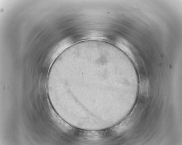 X0000087691338200705251659