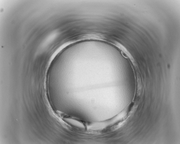 X0000087691339200705251659