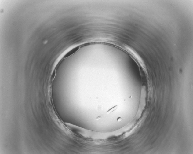 X0000087691340200705251659