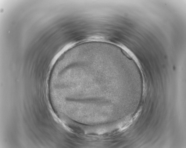 X0000087691341200705251659