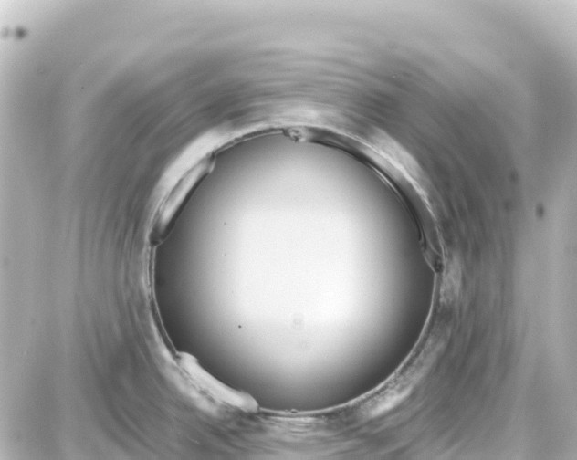 X0000087691342200705251659