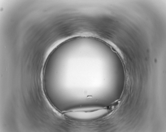 X0000087691343200705251659