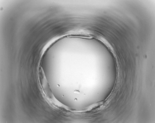 X0000087691344200705251659