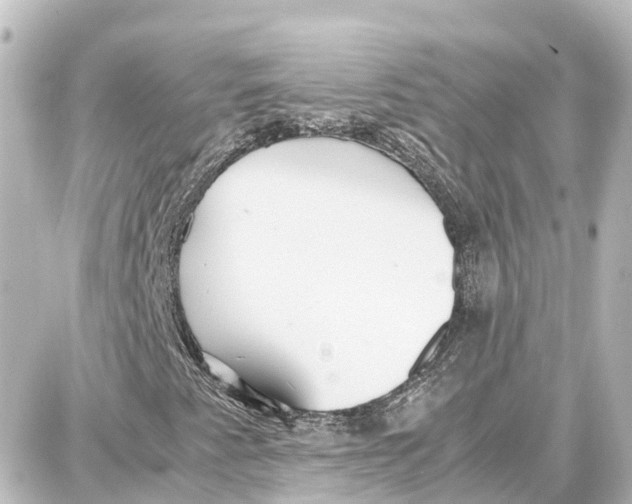 X0000087691345200705251658