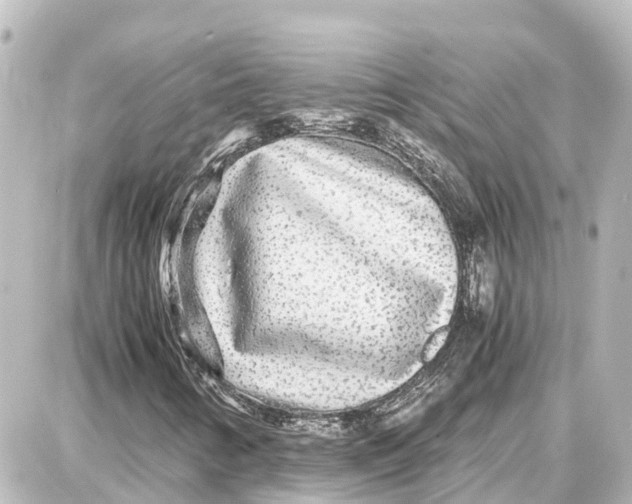 X0000087691346200705251658