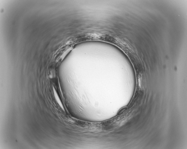 X0000087691347200705251658