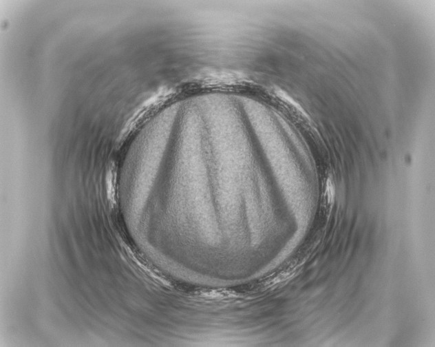 X0000087691348200705251658